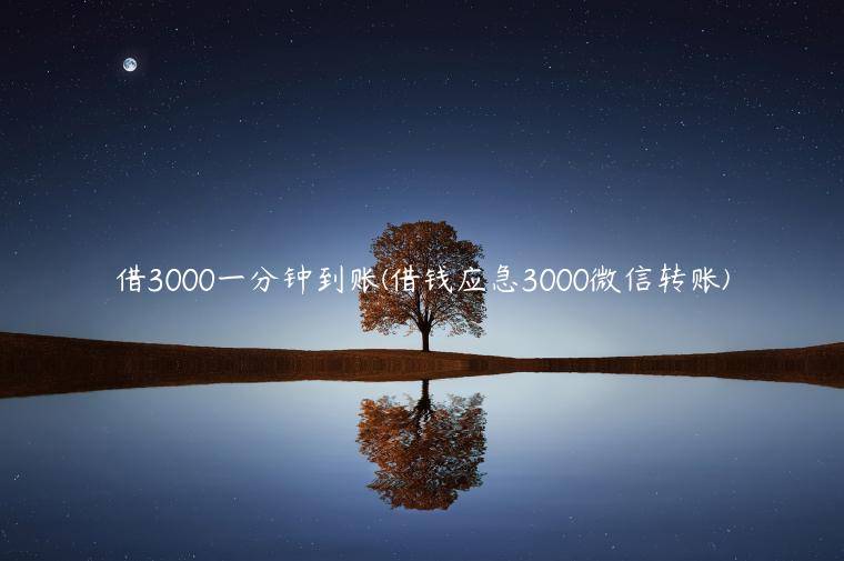 借3000一分钟到账(借钱应急3000微信转账)