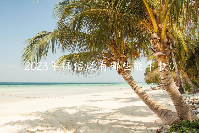 2023年征信烂有哪些能下款(2023征信不好哪里可以借钱)