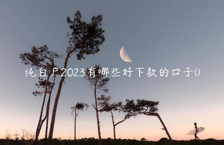 纯白户2023有哪些好下款的口子(精心准备了五家贷款黑白户百分百通过的平台)