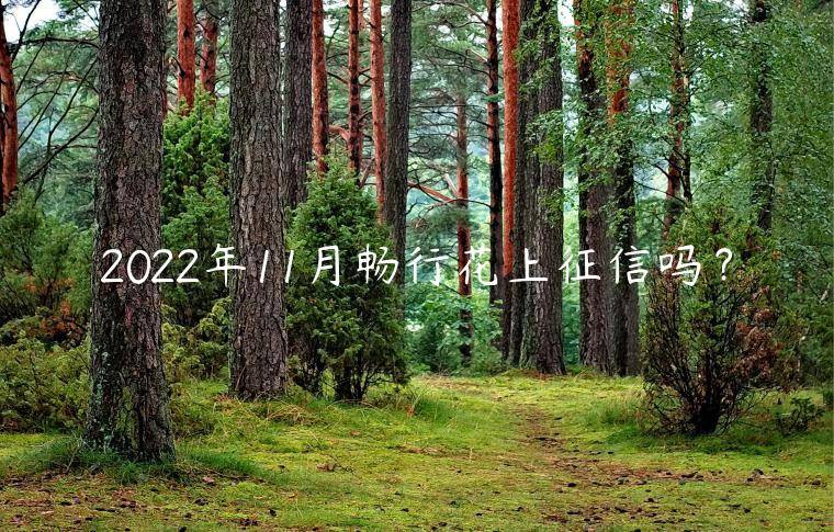 2022年11月畅行花上征信吗？