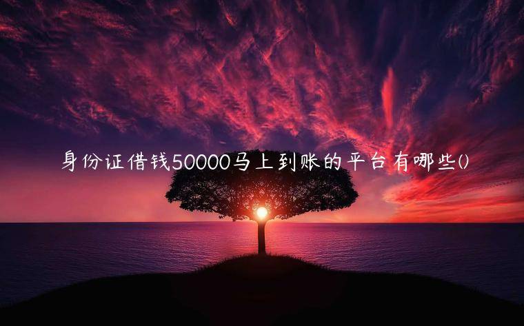 身份证借钱50000马上到账的平台有哪些(独家精选了五家身份证快速借款的平台)