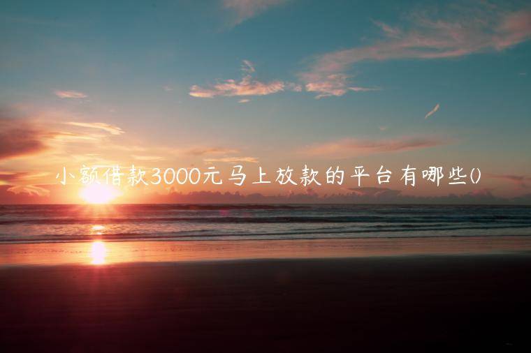 小额借款3000元马上放款的平台有哪些(全网整理了5个借3000块钱秒到的平台)