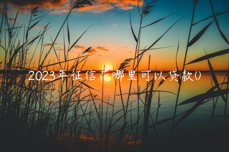 2023年征信非常花哪里可以贷款(全网盘点了5个不查征信的贷款平台)