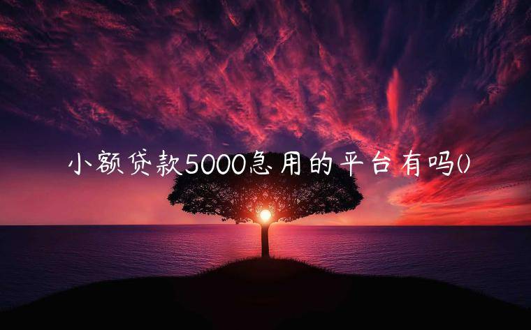 小额贷款5000急用的平台有吗(独家分享5个秒下款5000的贷款平台)