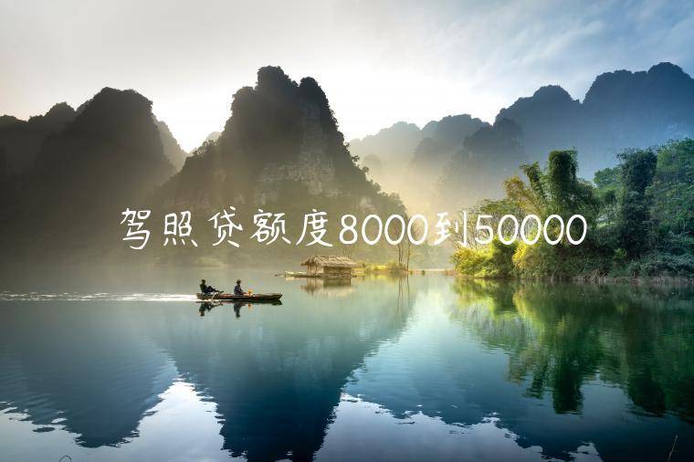 驾照贷额度8000到50000的口子有哪些(独家分享5个有驾照就能申请的贷款平台)