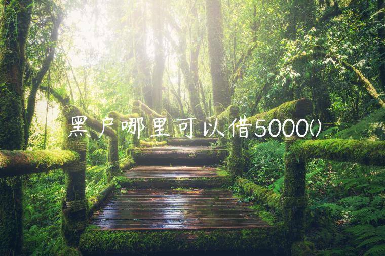 黑户哪里可以借5000(分享5个借5000元必下款黑户的平台)