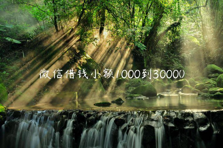 微信借钱小额1000到3000(精选了五家快速借钱1000马上到账的平台)