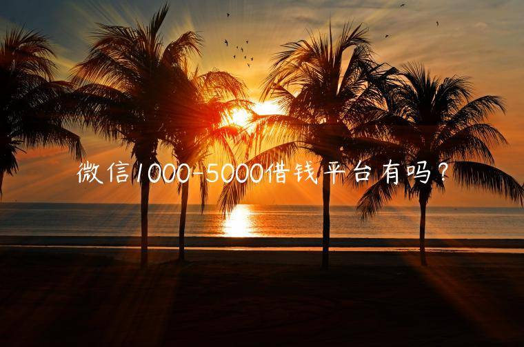 微信1000-5000借钱平台有吗？