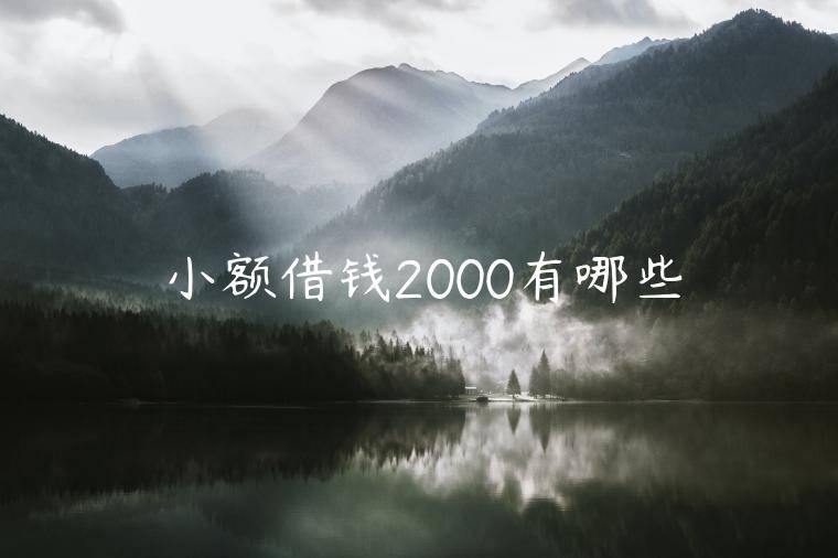 小额借钱2000的平台有哪些(全网盘点了五家借款2000马上到账的平台)