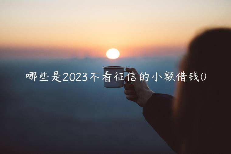 哪些是2023不看征信的小额借钱(分享一下独家珍藏的无视征信秒下款的口子2023)