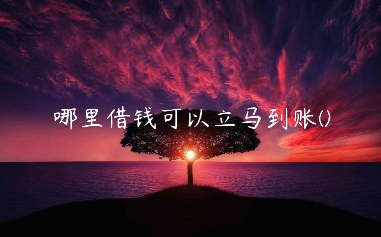 哪里借钱可以立马到账(全网独家分享5个借钱秒到账的平台)