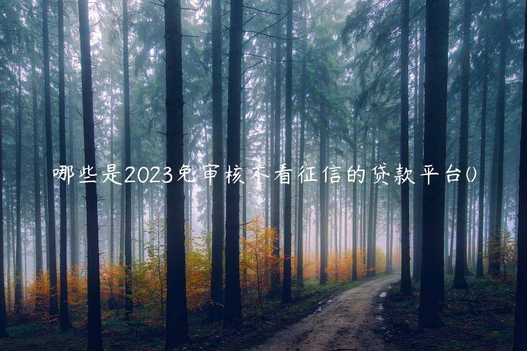 哪些是2023免审核不看征信的贷款平台(盘点一下什么借贷平台不看征信)