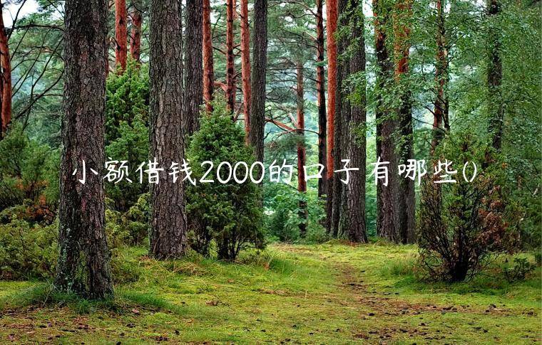 小额借钱2000的口子有哪些(独家分享5个2000秒下小额贷款平台)