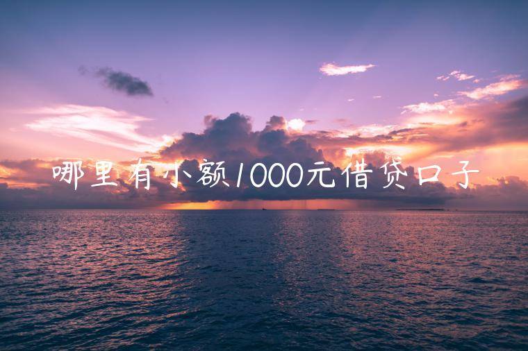 哪里有小额1000元借贷口子(盘点五家小额度贷款1000元容易过的)