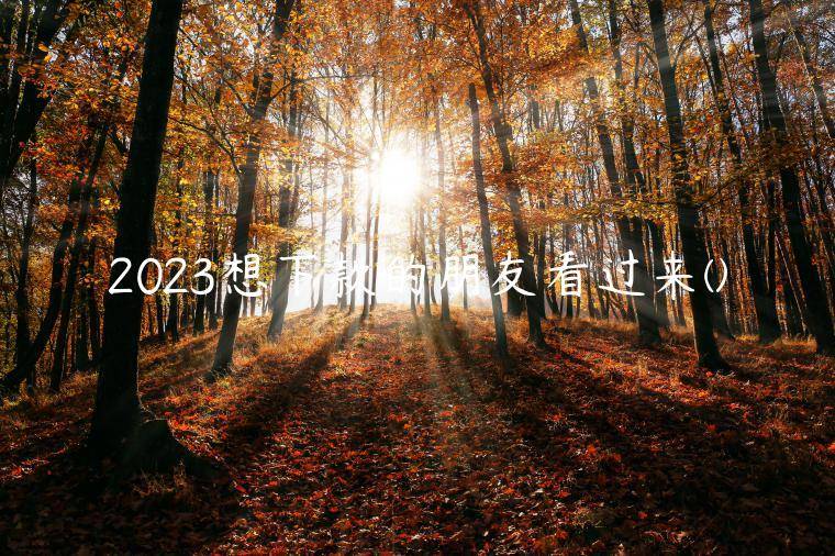 2023想下款的朋友看过来(独家汇总了几个无条件秒过的小额贷款平台)