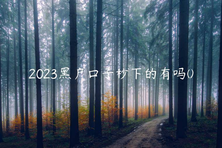 2023黑户口子秒下的有吗(盘点秒拒户还有什么口子下款)