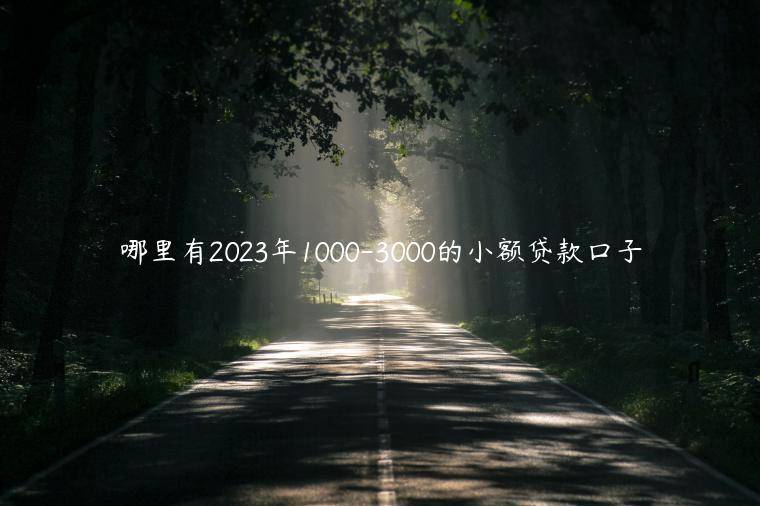 哪里有2023年1000-3000的小额贷款口子(整理盘点了五家小额贷款必下口子)