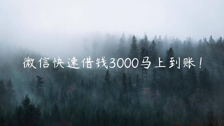 微信快速借钱3000马上到账！