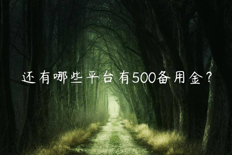 还有哪些平台有500备用金？