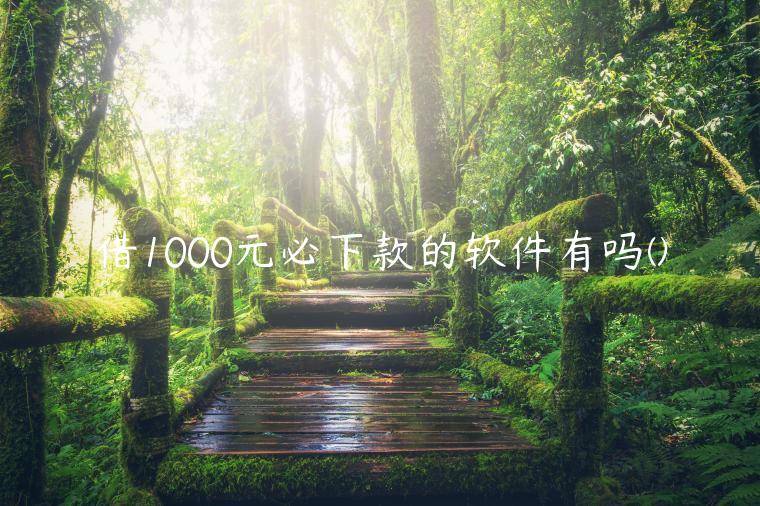 借1000元必下款的软件有吗(精选几个可以借1000的平台秒下款)