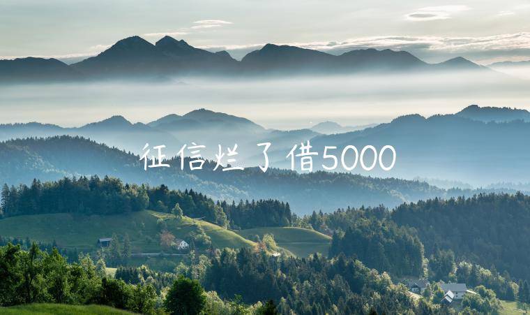 征信烂了借5000能在哪借(整理分享几个小额贷款5000急用的平台)