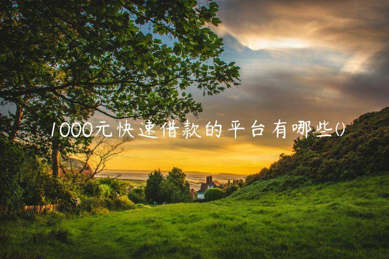 1000元快速借款的平台有哪些(挑选了五家可以借1000的平台秒下款)