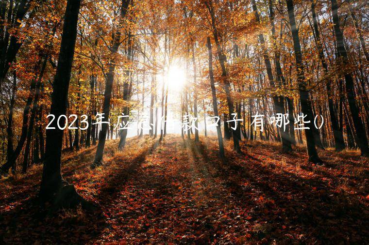 2023年应急借款口子有哪些(独家盘点急需一千元怎么能借到)