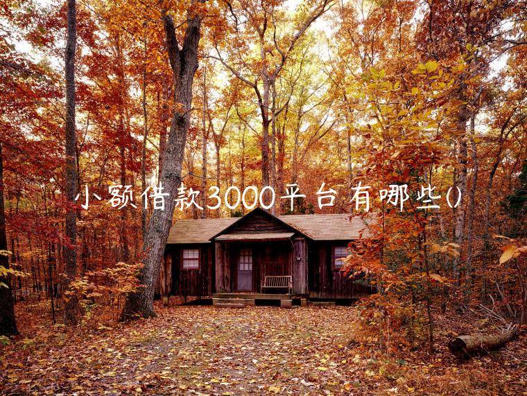 小额借款3000平台有哪些(分享盘点几个小额借款3000元马上放款的)