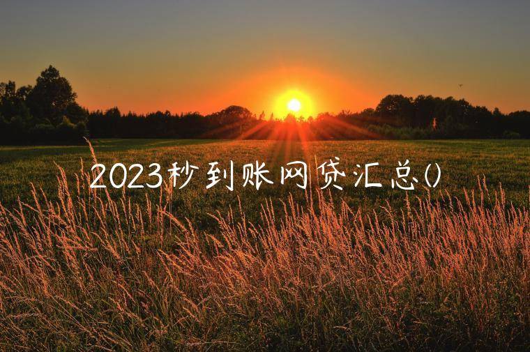 2023秒到账网贷汇总(秒下款1000元的口子有哪些)