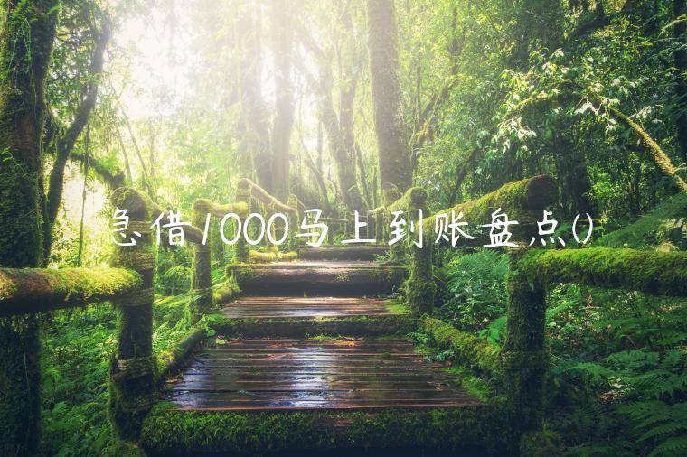 急借1000马上到账盘点(有没有借1000一分钟到账的口子)