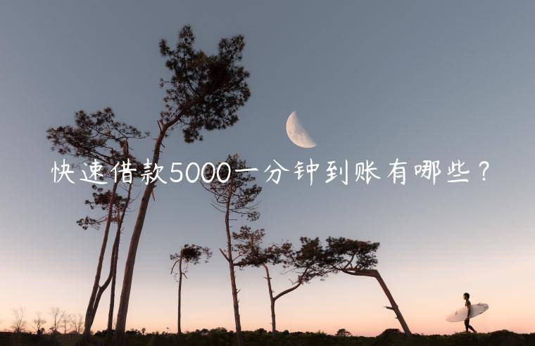 快速借款5000一分钟到账有哪些？