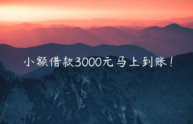 小额借款3000元马上到账！