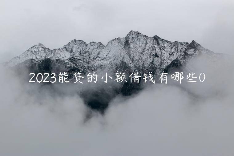 2023能贷的小额借钱有哪些(整理分享五家无条件秒过的小额贷款)