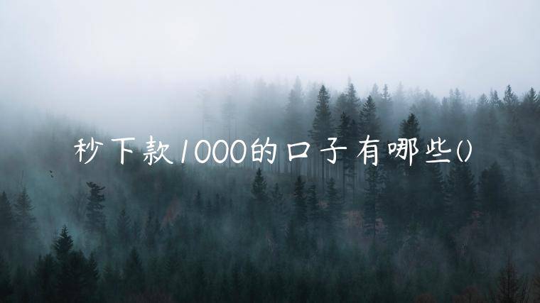 秒下款1000的口子有哪些(精选了几个1000块贷款百分百下款的)