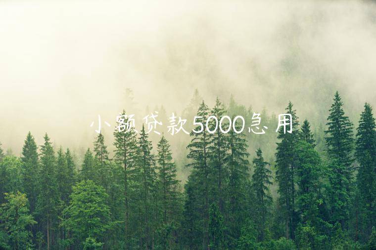 小额贷款5000急用