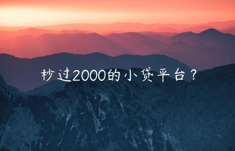 秒过2000的小贷平台？