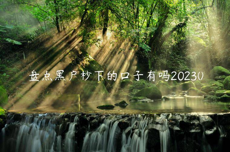 盘点黑户秒下的口子有吗2023(哪些是无视征信秒下款的口子)