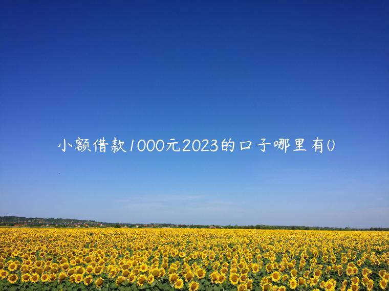 小额借款1000元2023的口子哪里有(盘点一下急需一千元怎么能借到)