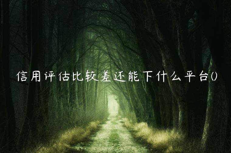 信用评估比较差还能下什么平台(整理盘点几个不用信用评估的网贷)