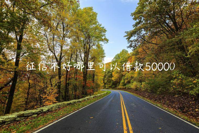 征信不好哪里可以借款5000(整理分享哪里有借5000征信不好也能借的)