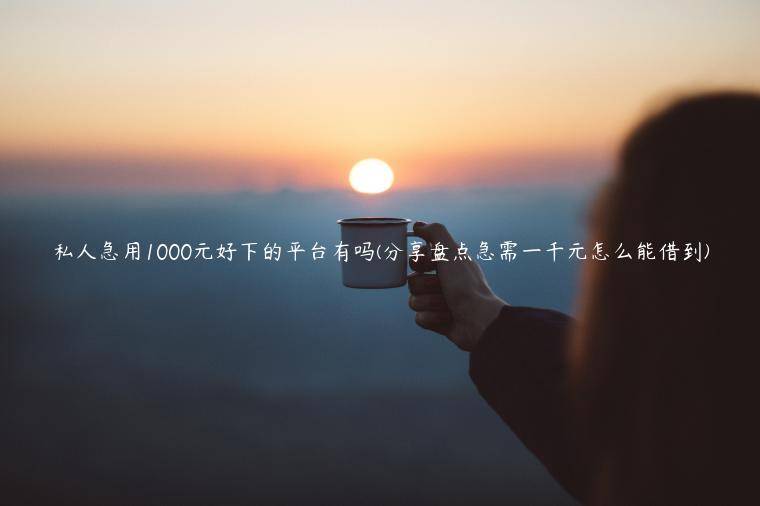 私人急用1000元好下的平台有吗(分享盘点急需一千元怎么能借到)