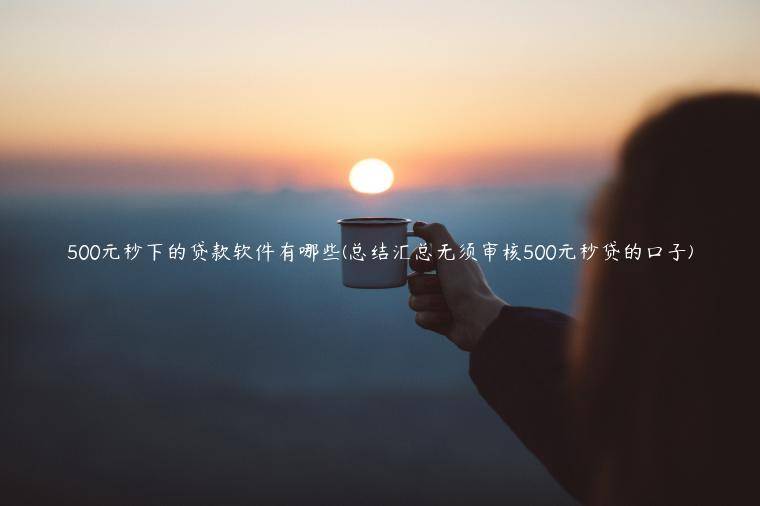 500元秒下的贷款软件有哪些(总结汇总无须审核500元秒贷的口子)