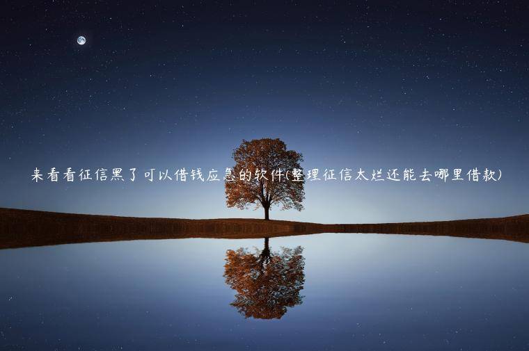 来看看征信黑了可以借钱应急的软件(整理征信太烂还能去哪里借款)