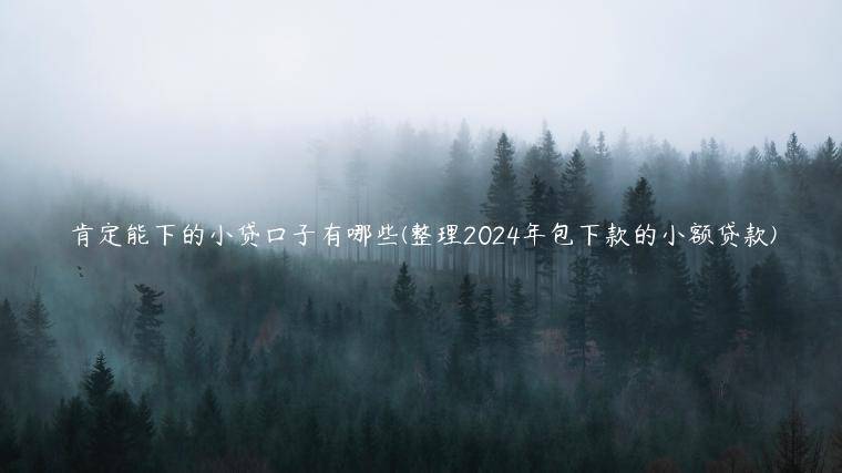 肯定能下的小贷口子有哪些(整理2024年包下款的小额贷款)