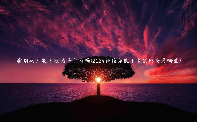 逾期花户能下款的平台有吗(2024征信差能下来的网贷是哪些)