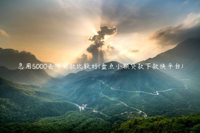 急用5000去哪贷款比较好(盘点小额贷款下款快平台)